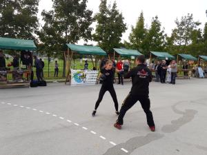 Prikaz treninga boksa v Boks klubu Legionar.